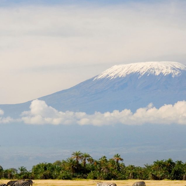 zebras-kilimanjaro-africa_2x3